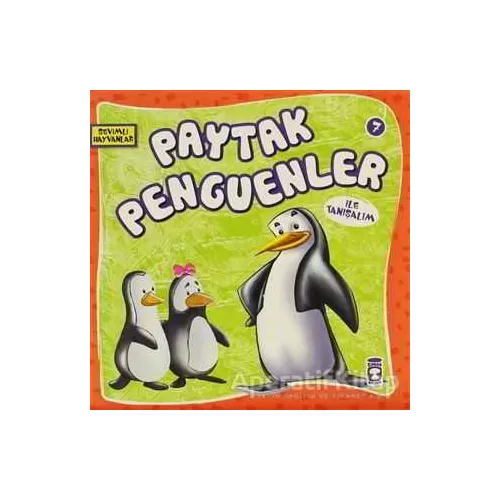 Paytak Penguenler ile Tanışalım - Kolektif - Timaş Çocuk - İlk Çocukluk