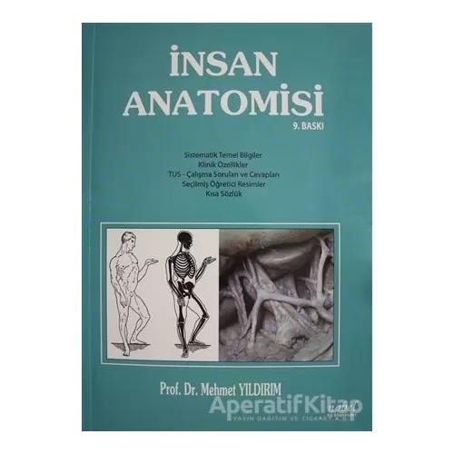İnsan Anatomisi - Mehmet Yıldırım - Nobel Tıp Kitabevi