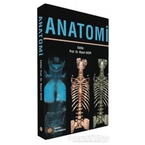 Anatomi - Niyazi Acer - İstanbul Tıp Kitabevi