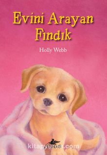 Evini Arayan Findık