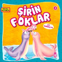 Şirin Foklar ile Tanışalım / Sevimli Hayvanlar 8