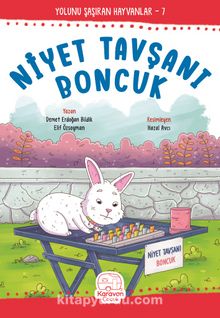 Niyet Tavşanı Boncuk