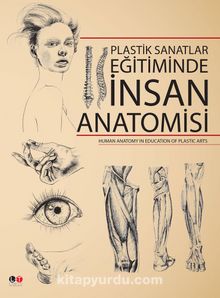 Plastik Sanatlar Eğitiminde İnsan Anatomisi